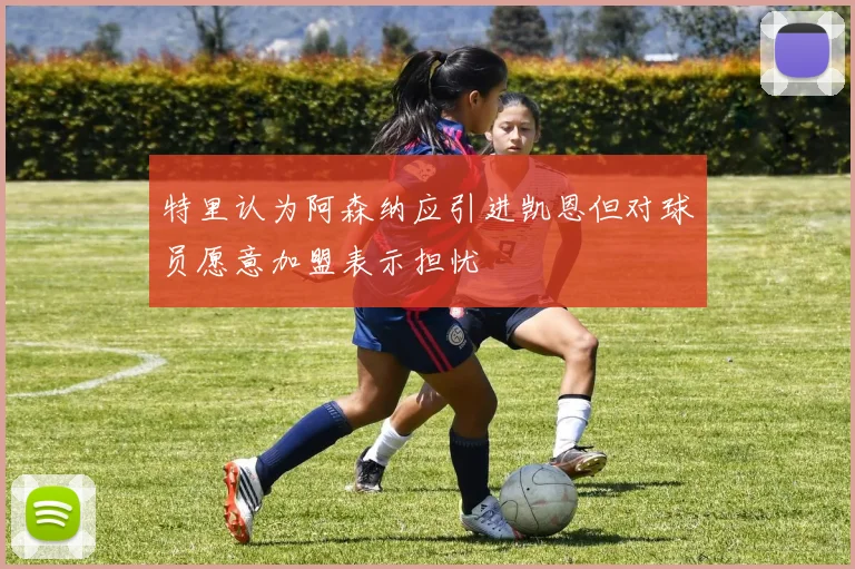 特里认为阿森纳应引进凯恩但对球员愿意加盟表示担忧