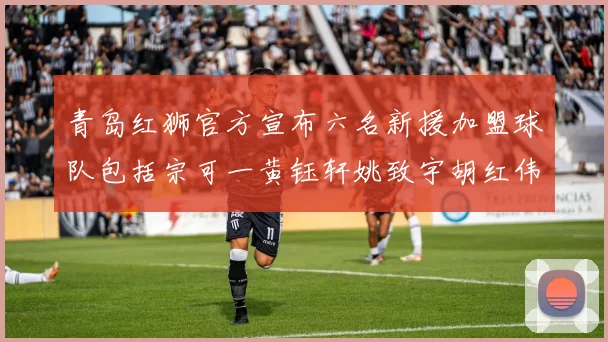 青岛红狮官方宣布六名新援加盟球队包括宗可一黄钰轩姚致宇胡红伟等人